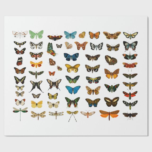 CADEAU PAPIER À REPASSER : GRAPHIQUE VINTAGE À BOUTEILLE (Plat)