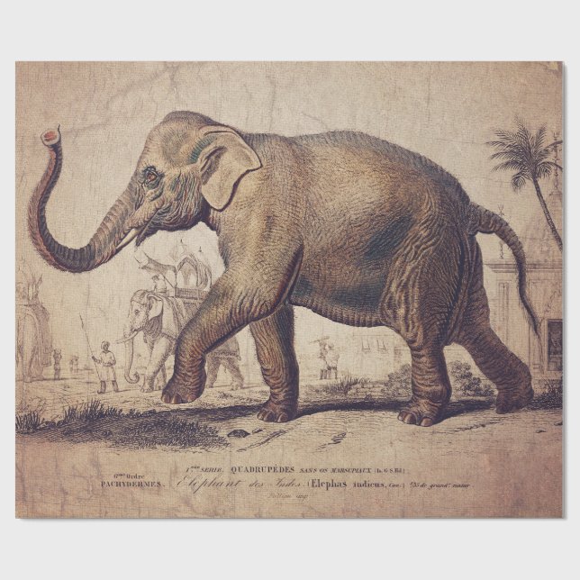 Cadeau Papier de recouvrement d'éléphants ou de découpage (Plat)