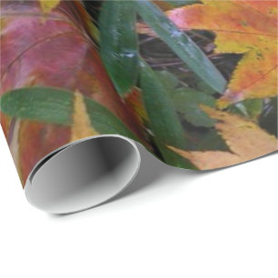 Cadeau Papier d'écureuil