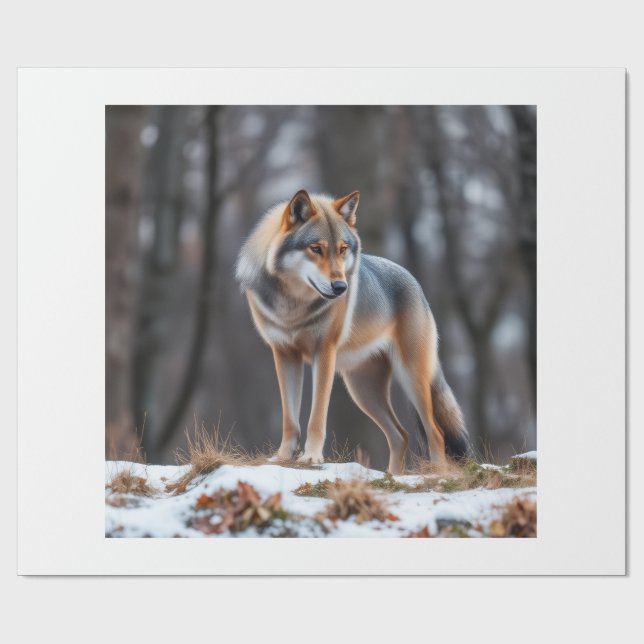 Cadeau Papier d'emballage  (Plat)