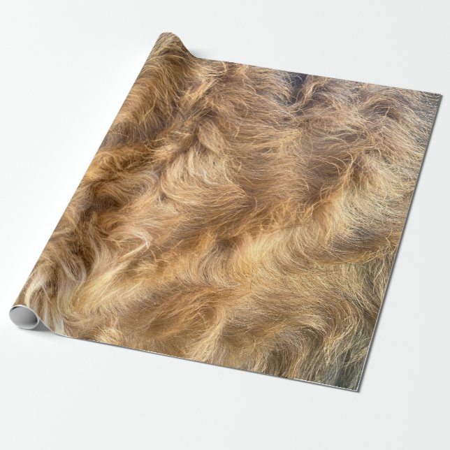 Cadeau Papier d'emballage à cheveux d'Airedale (Déroulé)