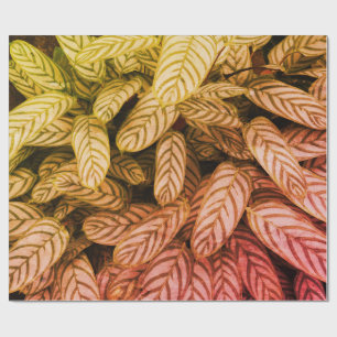 Cadeau Papier d'emballage à motif de feuilles botaniques