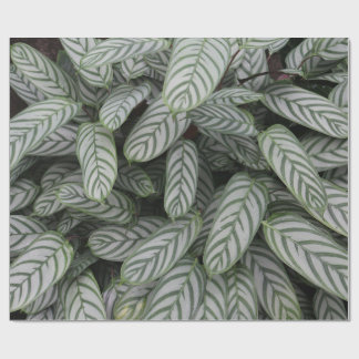 Cadeau Papier d'emballage à motif de feuilles botaniques
