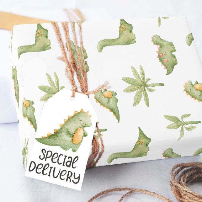 Cadeau Papier d'emballage bébé dinosaure (Créateur téléchargé)