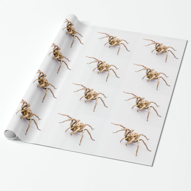 CADEAU PAPIER D'EMBALLAGE BLANC AVEC DES RANGÉES D'ARAGNÉ (Déroulé)