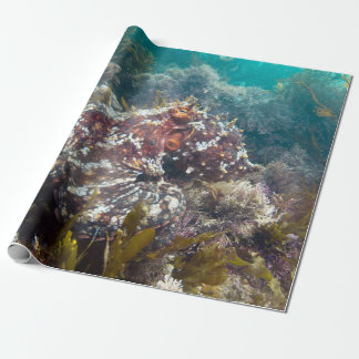 Cadeau Papier d'emballage bleu de corail