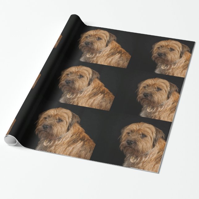 Cadeau Papier d'emballage brillant de Terrier de (Déroulé)
