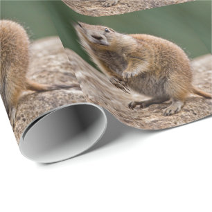 Cadeau Papier d'emballage Chien de prairie curieux
