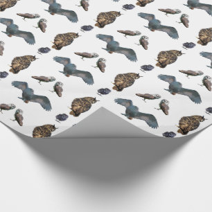Cadeau Papier d'emballage Chouette Frénésie (choisissez l