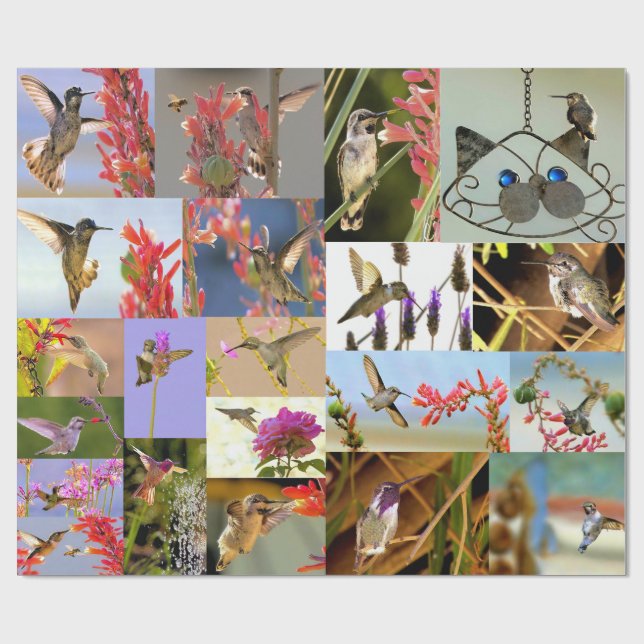 Cadeau Papier d'emballage Colibri (Plat)