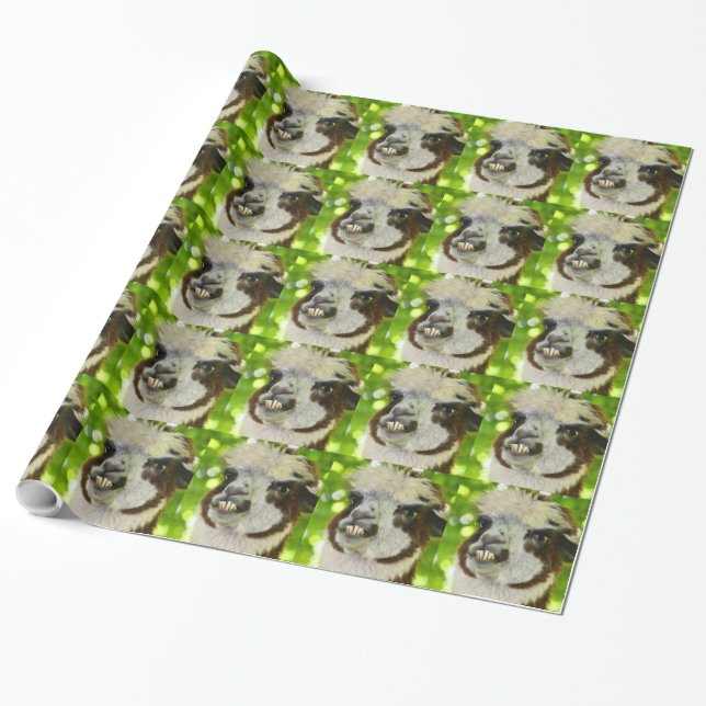 Cadeau Papier d'emballage d'alpaga (Déroulé)