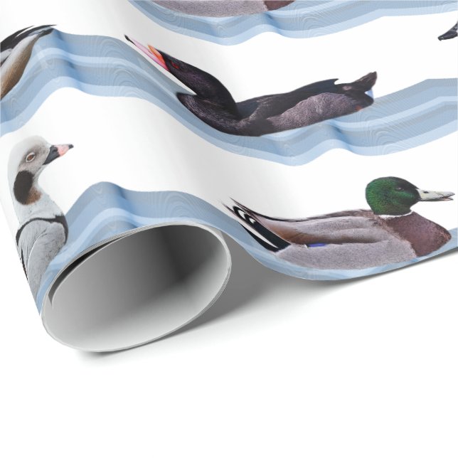 Cadeau Papier d'emballage Dandy Ducks (Coin rond)