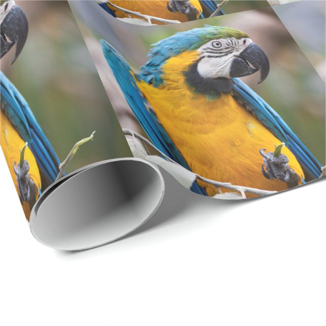 Cadeau Papier d'emballage d'ara bleu et jaune (Coin rond)