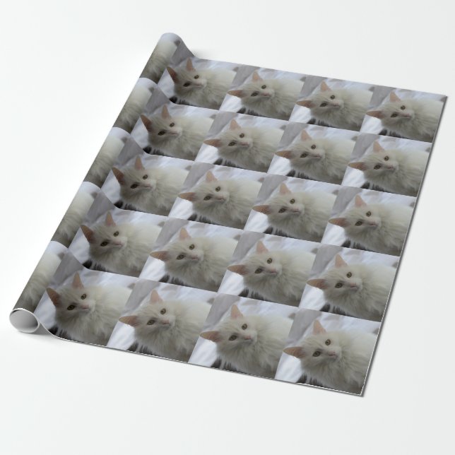 Cadeau papier d'emballage de chat angora turc blanc (Déroulé)