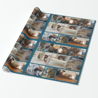 Cadeau Papier d'emballage de chats