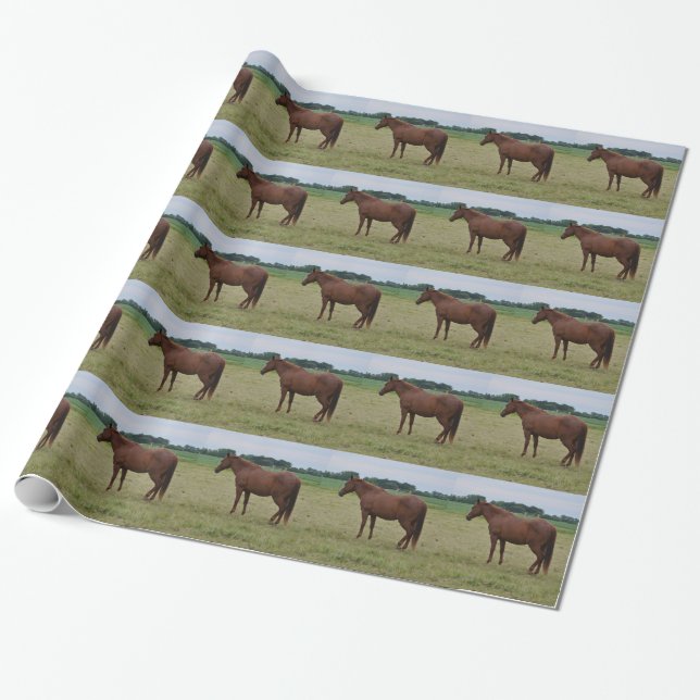 Cadeau Papier d'emballage de cheval (Déroulé)