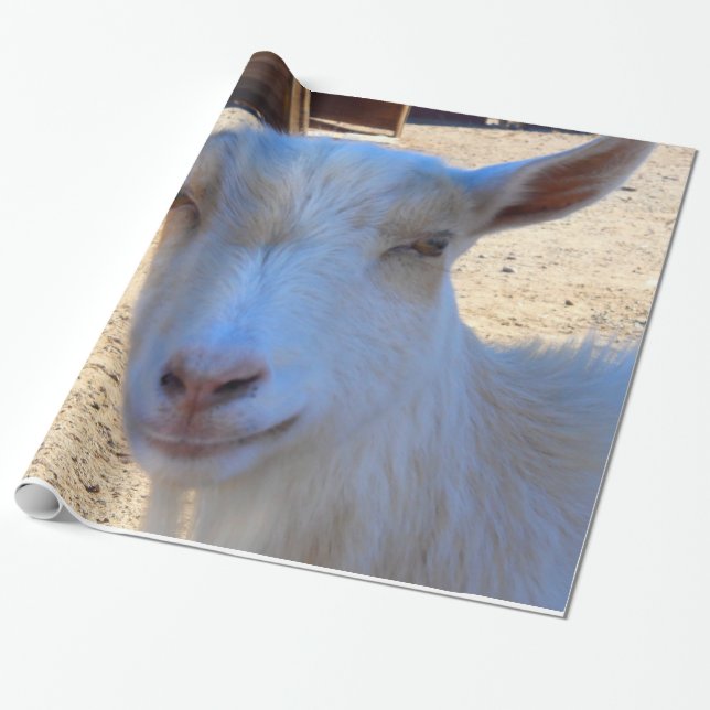 Cadeau Papier d'emballage de chèvre (Déroulé)
