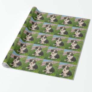 Cadeau Papier d'emballage de chiot