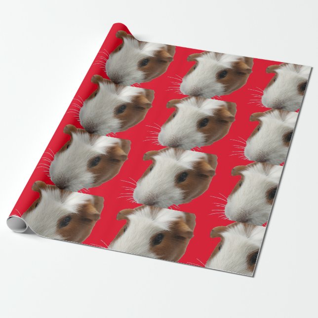 Cadeau papier d'emballage de cobaye rouge (Déroulé)