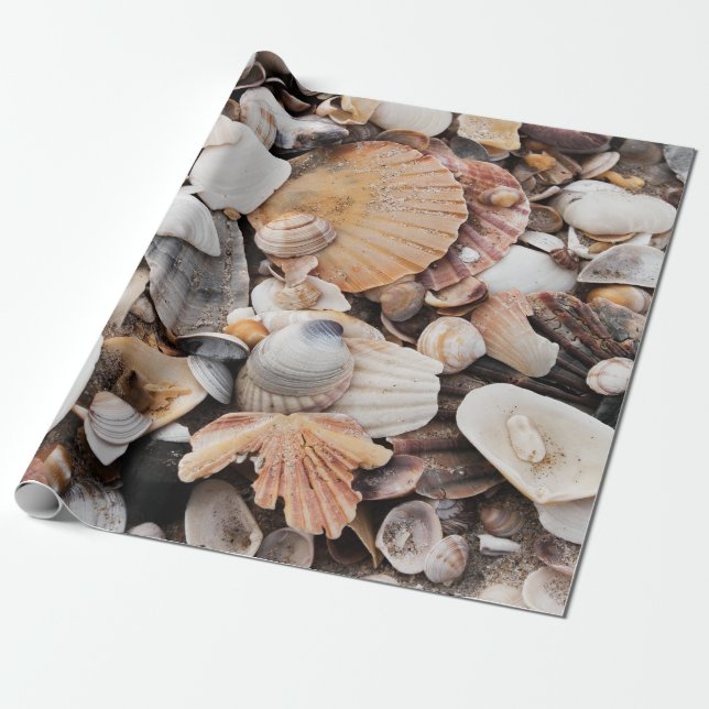 Cadeau Papier d'emballage de conception de coquille de (Déroulé)