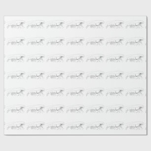 Cadeau Papier d'emballage de crevette