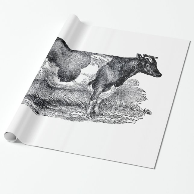 Cadeau Papier d'emballage de deux vaches (Déroulé)