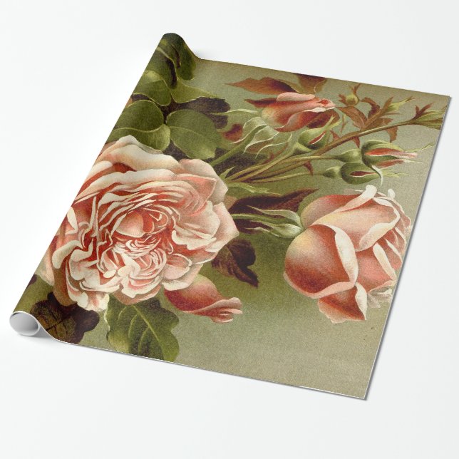 Cadeau Papier d'emballage de fleurs roses de chou (Déroulé)