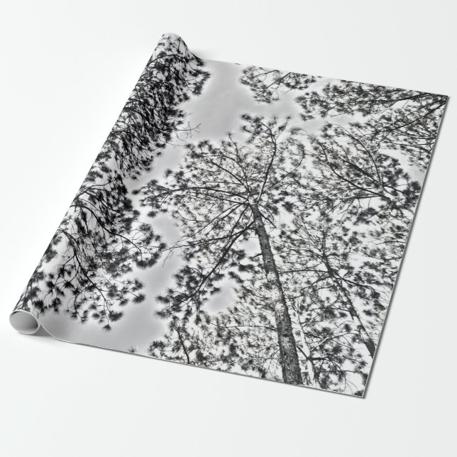 Cadeau Papier d'emballage de Gumtree (Déroulé)