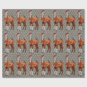 Cadeau Papier d'emballage de LAMA et d'OISEAU de NOËL