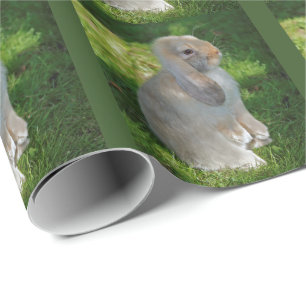 Cadeau Papier d'emballage de lapin de Minilop de bébé