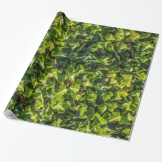 Cadeau Papier d'emballage de lierre vert