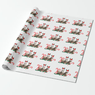 Cadeau Papier d'emballage de Noël, faune, ânes