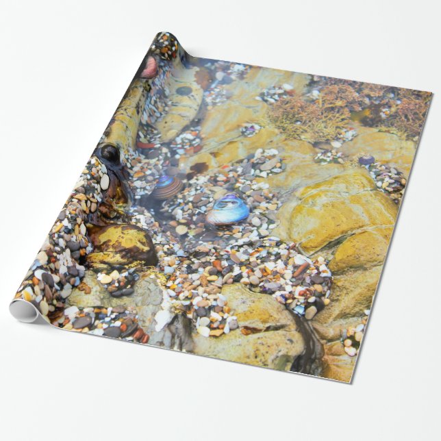 Cadeau Papier d'emballage de piscine de marée (Déroulé)