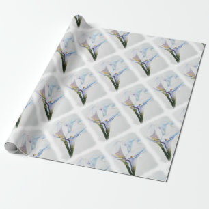 CADEAU PAPIER D'EMBALLAGE DE ZANTEDESCHIAS BLANCS