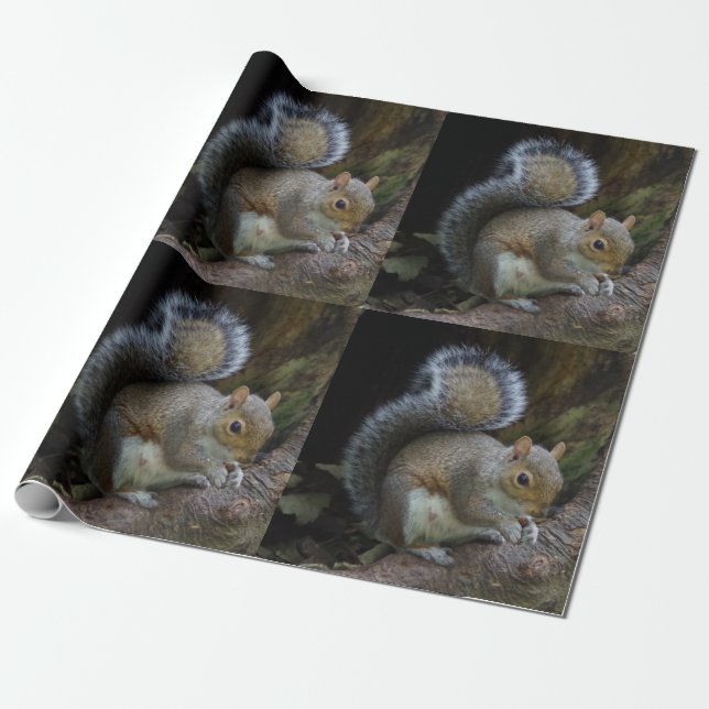 Cadeau Papier d'emballage d'écureuil (Déroulé)