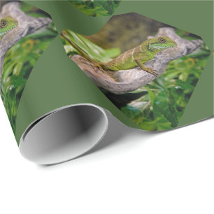 Cadeau Papier d'emballage du dragon d'eau chinois