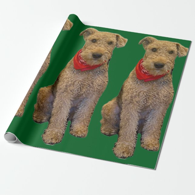 Cadeau Papier d'emballage Gland (Déroulé)