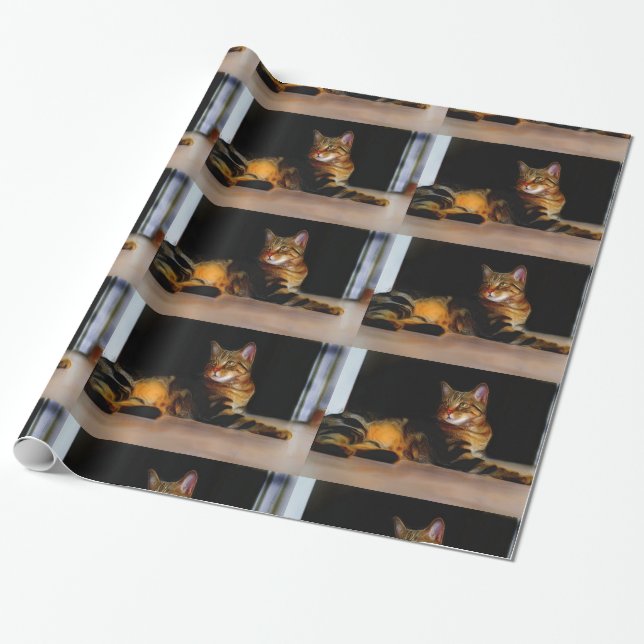 Cadeau Papier d'emballage gris de chat tigré (Déroulé)