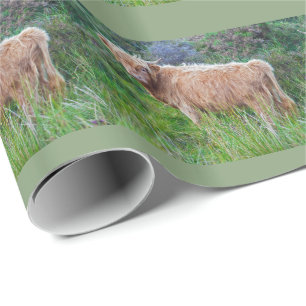 Cadeau Papier d'emballage Jeune Vache des Highlands
