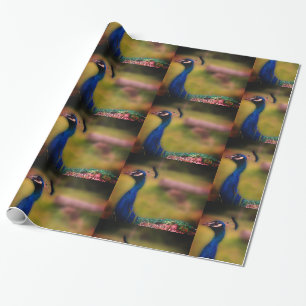 Cadeau Papier d'emballage mat Photo de paon