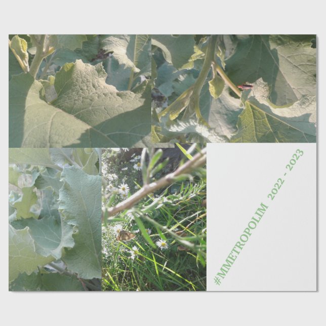 Cadeau Papier d'emballage/MMETROPOLIMdesign (Plat)