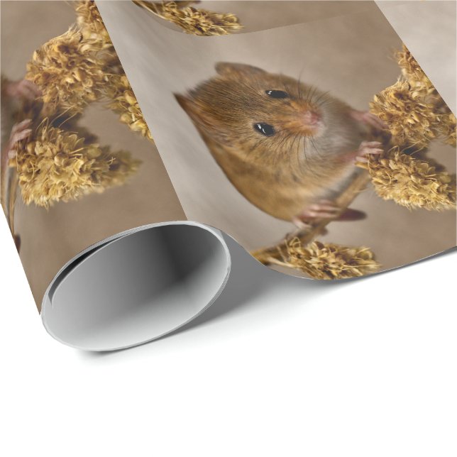 Cadeau Papier d'emballage Mousie (Coin rond)
