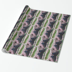 Cadeau Papier d'emballage noir à queue noire