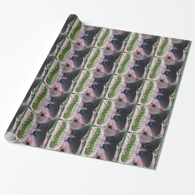 Cadeau Papier d'emballage noir à queue noire (Déroulé)