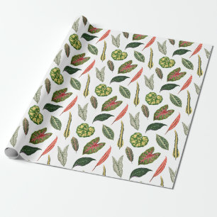 Cadeau Papier d'emballage original feuille de plante vint