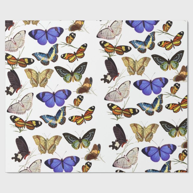 Cadeau Papier d'emballage Papillons (Plat)
