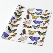 Papier d'emballage Papillons