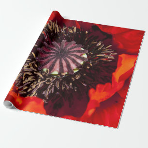 Cadeau Papier d'emballage Pavot Orange