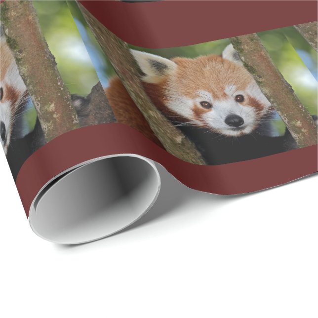 Cadeau Papier d'emballage Portrait de Panda (Coin rond)
