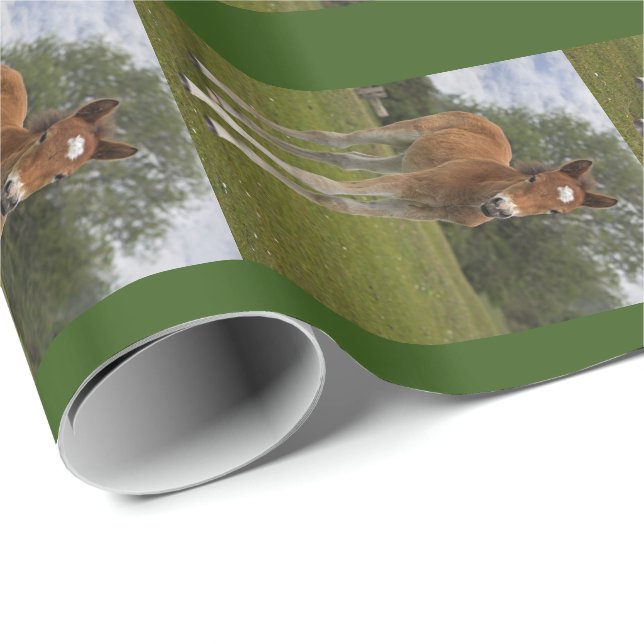 Cadeau Papier d'emballage Poulain (Coin rond)